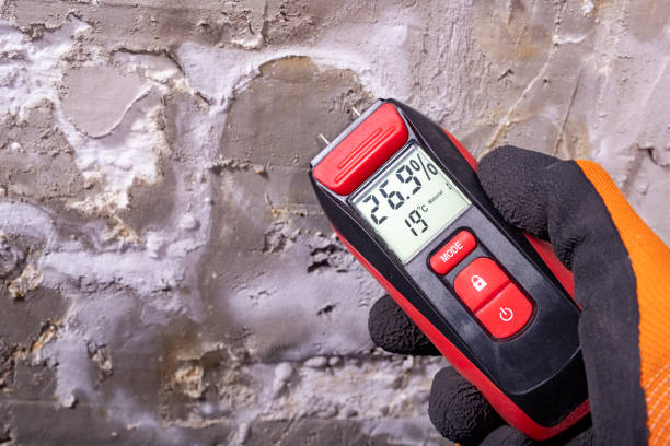 Centre, AL Mold Remediation Company